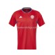 Camisola Costa Rica Homem Equipamento Primeiro 2023 Manga Curta
